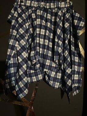 Blue and White Plaid Skirt